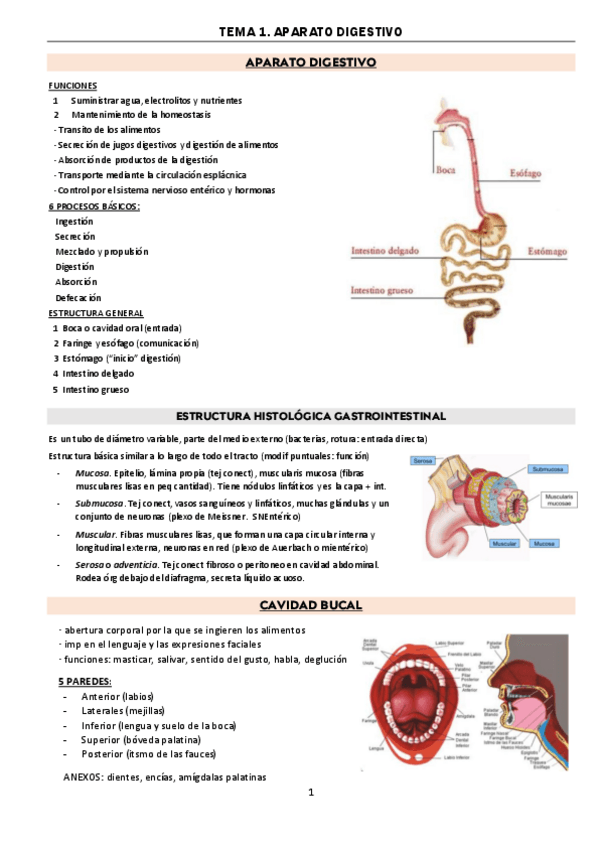 Miniatura del documento tema-1-digestivo.pdf