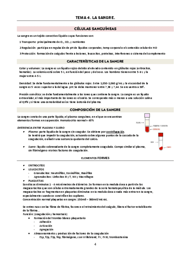 Miniatura del documento TEMA-4-SANGRE.pdf