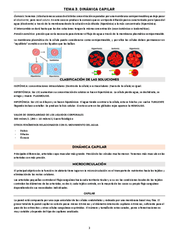 Miniatura del documento TEMA-3-DINAMICA-CAPILAR.pdf
