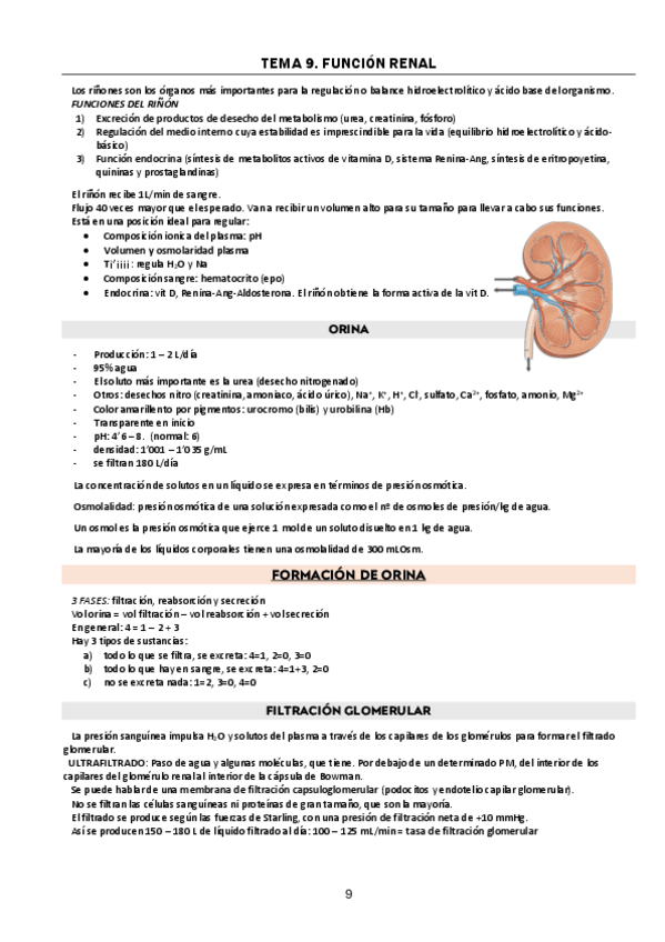 Miniatura del documento t9.-renal.pdf