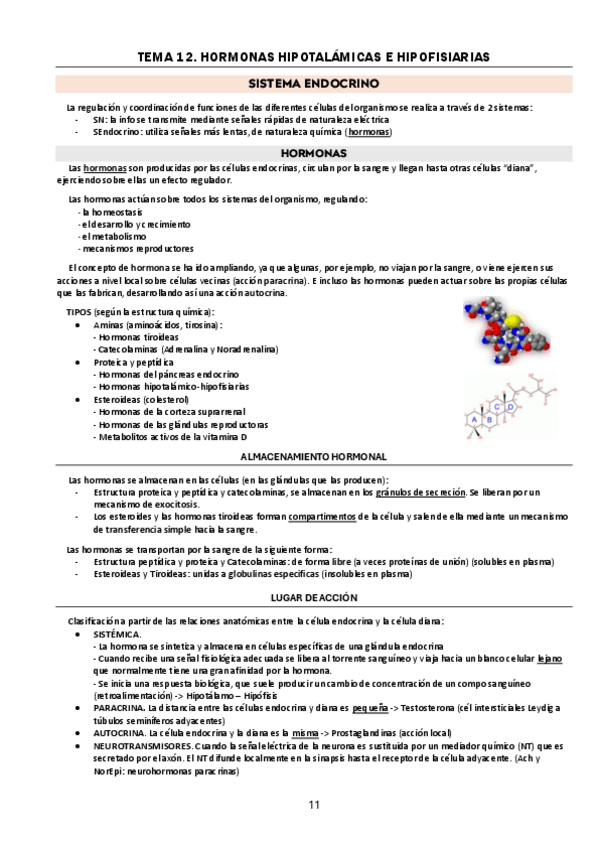 Miniatura del documento t12.-hormonas-SN.pdf