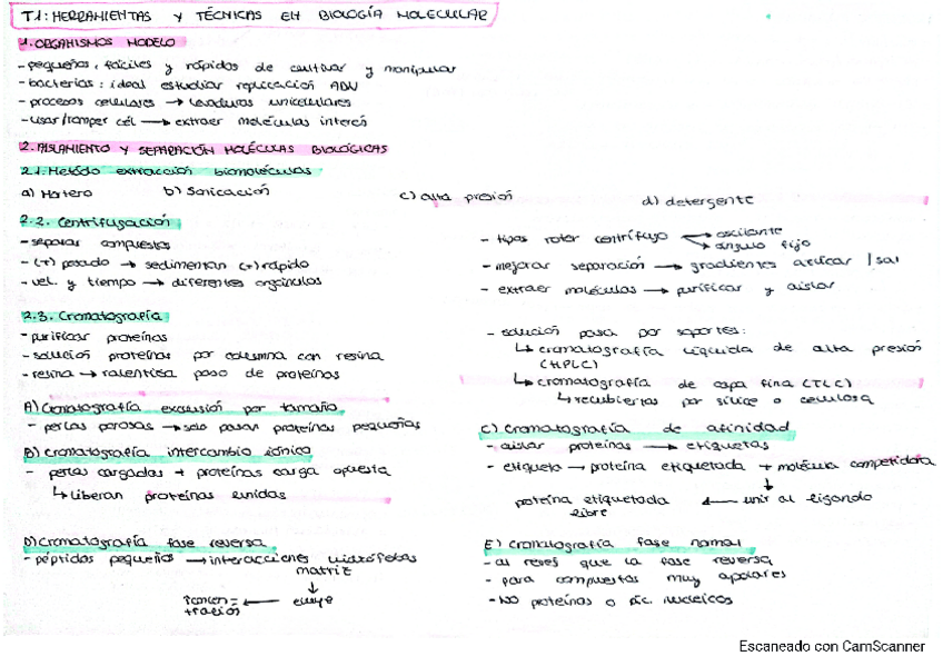Miniatura del documento esquema-tema-1.pdf