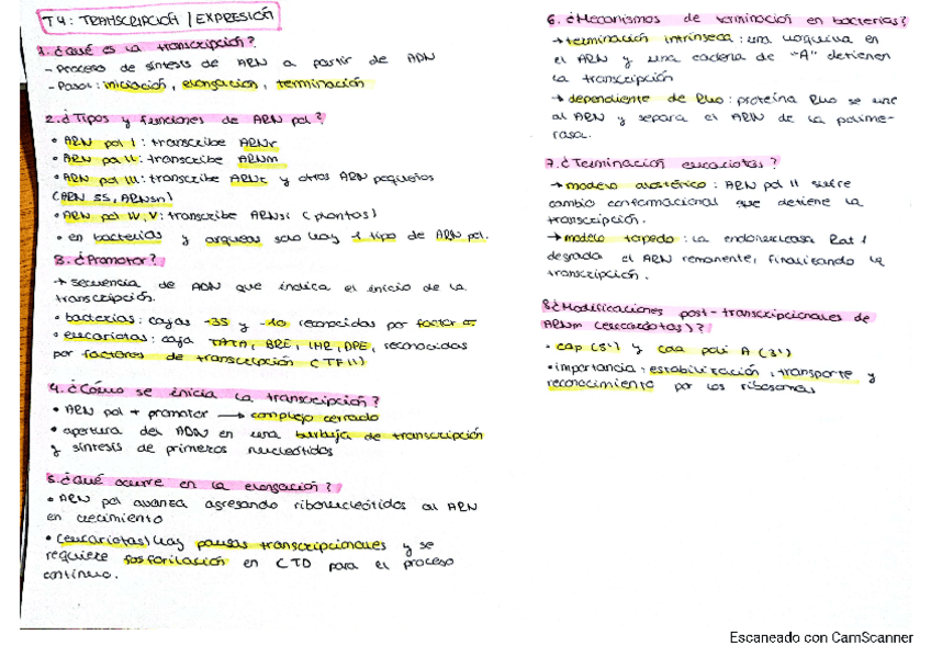 Miniatura del documento esquema-tema-4.pdf