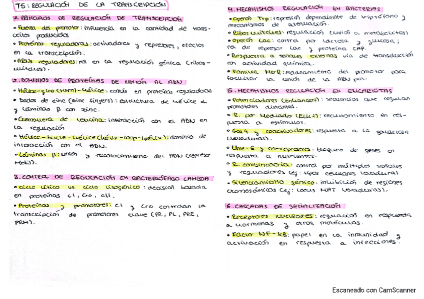 Miniatura del documento esquema-tema-5.pdf