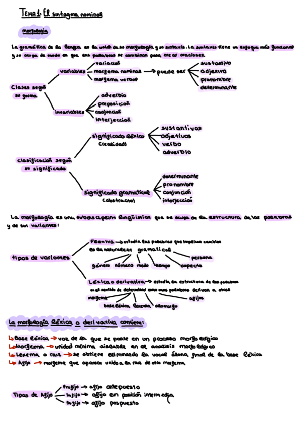 Miniatura del documento Esquema-Tema-1-El-sintagma-nominal.pdf