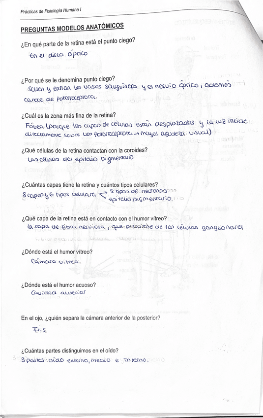 Miniatura del documento cuadernillo-practicas.pdf