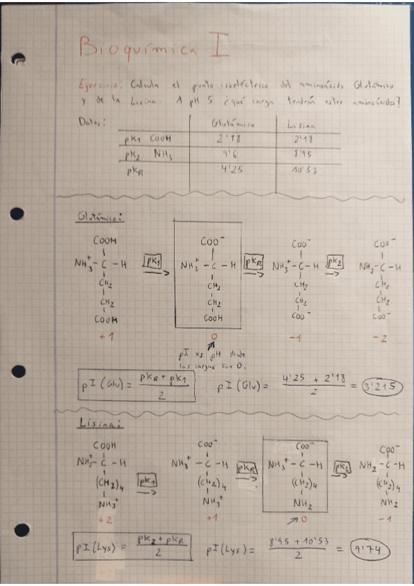 Miniatura del documento Ejercicio-punto-isoeléctrico {Bioquímica I}.pdf