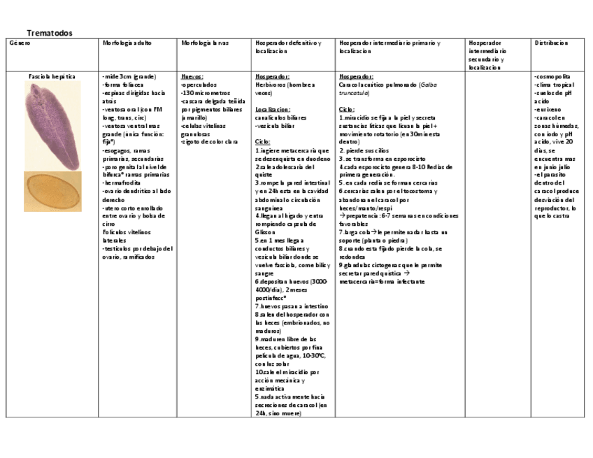 Miniatura del documento Tablas-Trematodos-Cestodos.pdf
