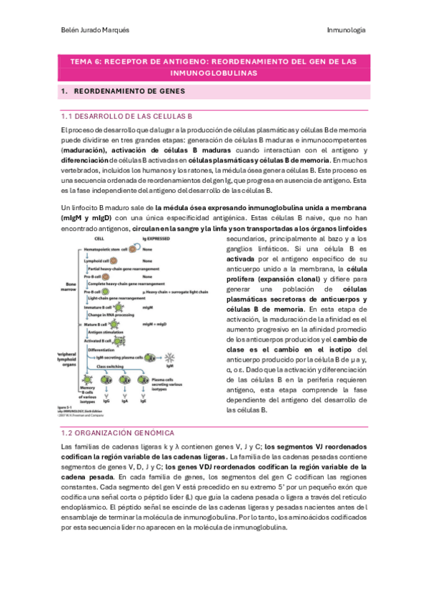 Miniatura del documento tema-6.pdf