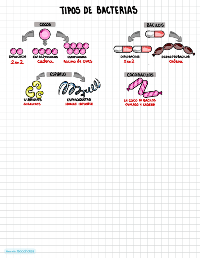 Miniatura del documento BACTERIAS.pdf