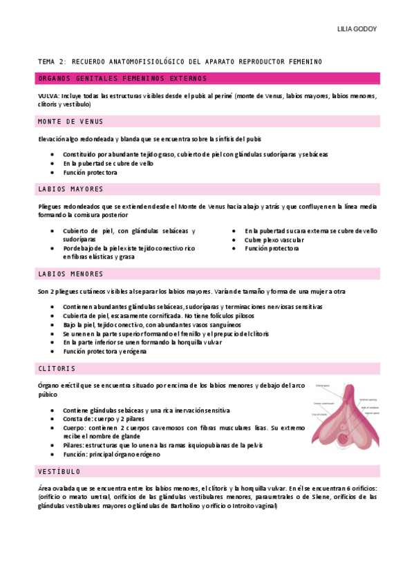 Miniatura del documento TEMA-2.pdf