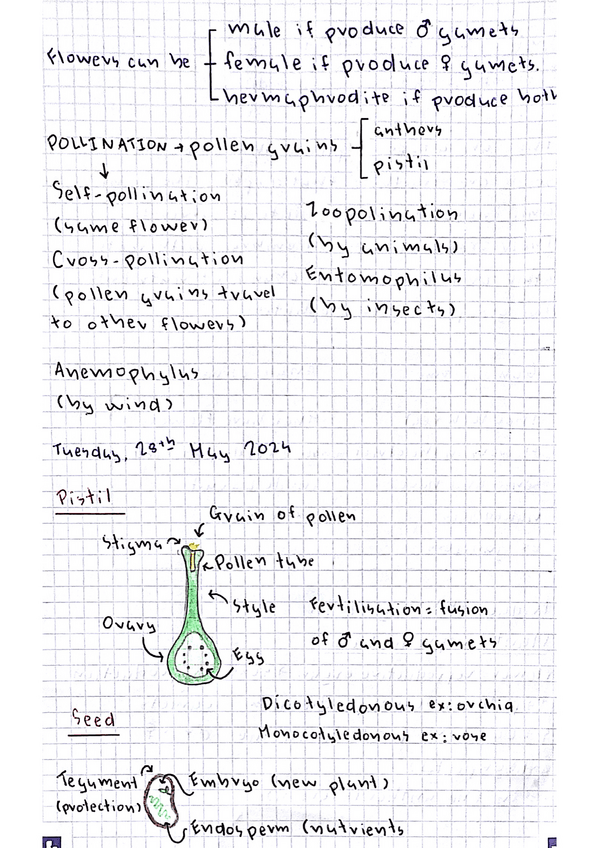 Miniatura del documento Plants-spermatophytes-and-reproduction.pdf