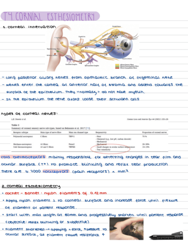 Miniatura del documento T4.-Corneal-Esthesiometey.pdf