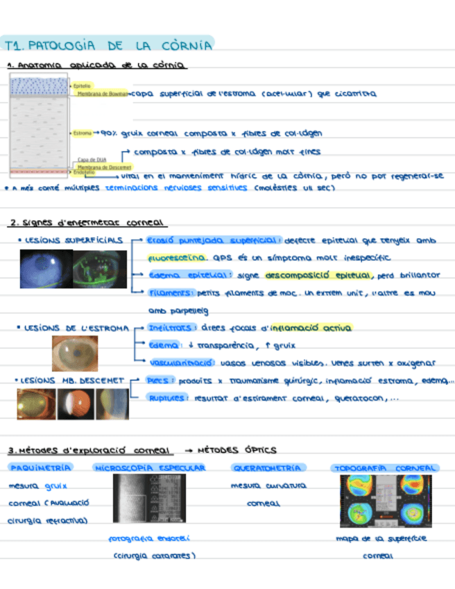 Miniatura del documento T1.-Cornia.pdf