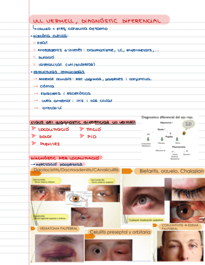 Miniatura del documento Casos.-ull-vermell.pdf