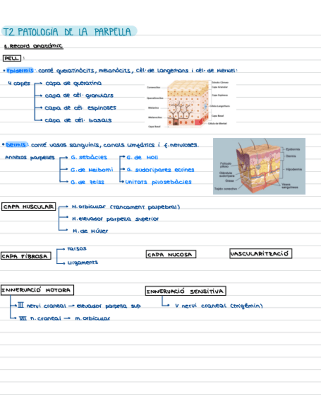 Miniatura del documento T2.-Patologia-Parpella.pdf