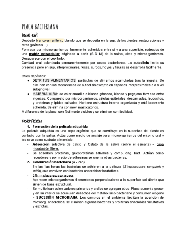 Miniatura del documento Placa-Bacteriana-IB-2024-Andalucia.pdf