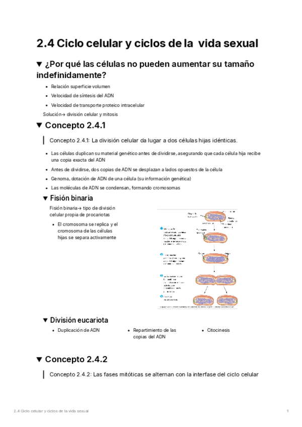 Miniatura del documento 2.4-Ciclo-celular-y-ciclos-de-la-vida-sexual.pdf