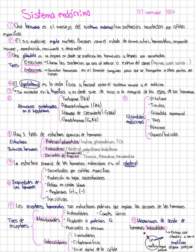 Miniatura del documento Cuestionario-endocrinologia.pdf