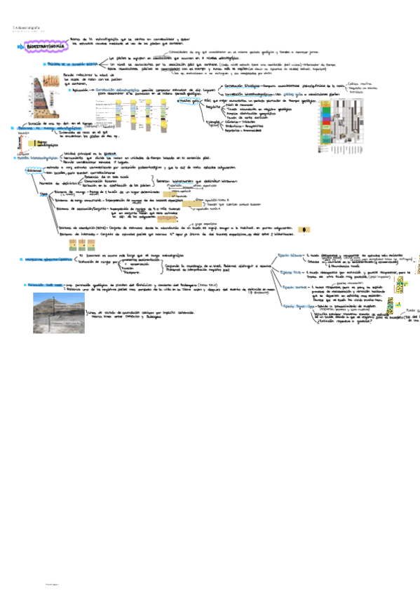 Miniatura del documento T.A-Bioestratigrafia.pdf