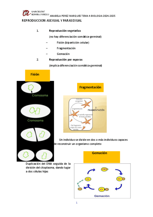 Miniatura del documento REPRODUCCION-ASEXUAL-Y-PARASEXUAL-TEMA-4-BIOLOGIA.pdf