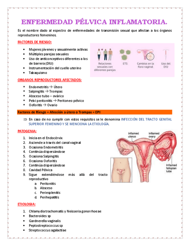 Miniatura del documento Enfermedad-Pelvica-Inflamatoria-Resumen.pdf