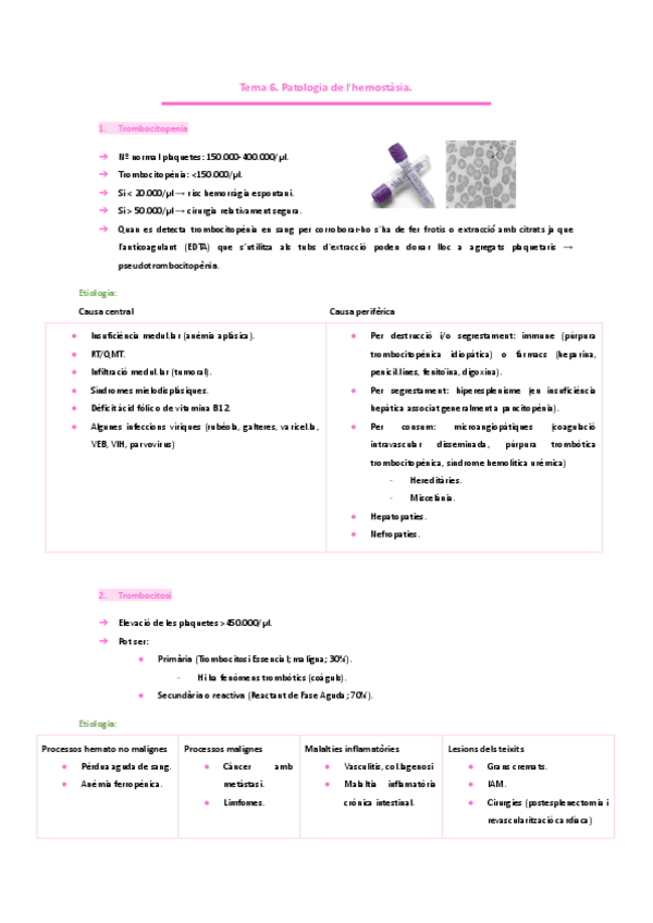 Miniatura del documento HEMATOLOGIA. -Tema-6.-Patologia-de-lhemostasia..pdf