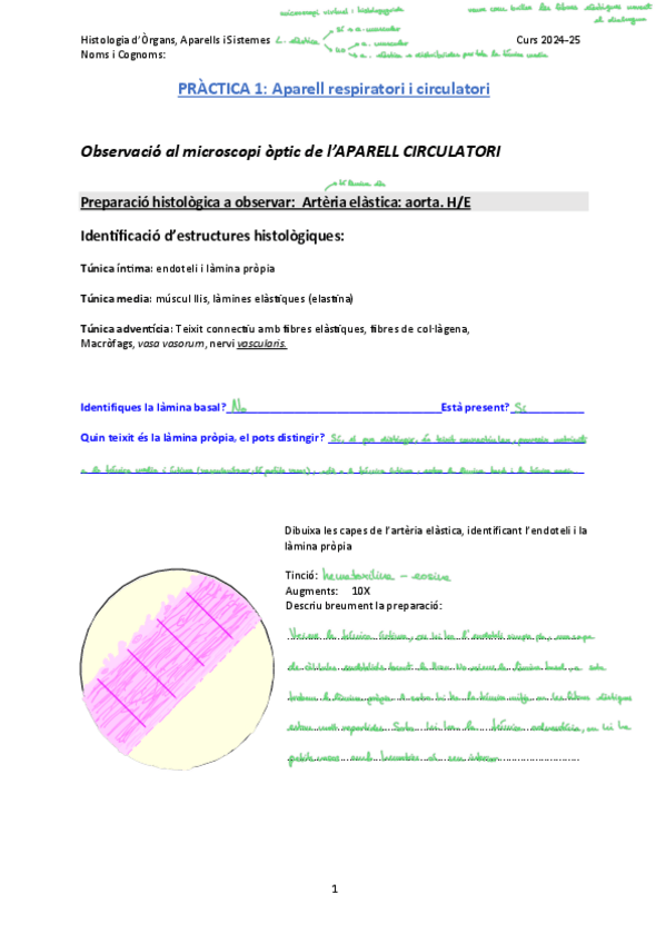 Miniatura del documento Laboratori 1.pdf