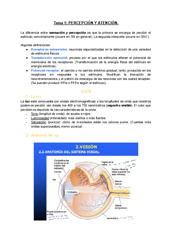 Miniatura del documento Fisio-I-Tema-1.pdf