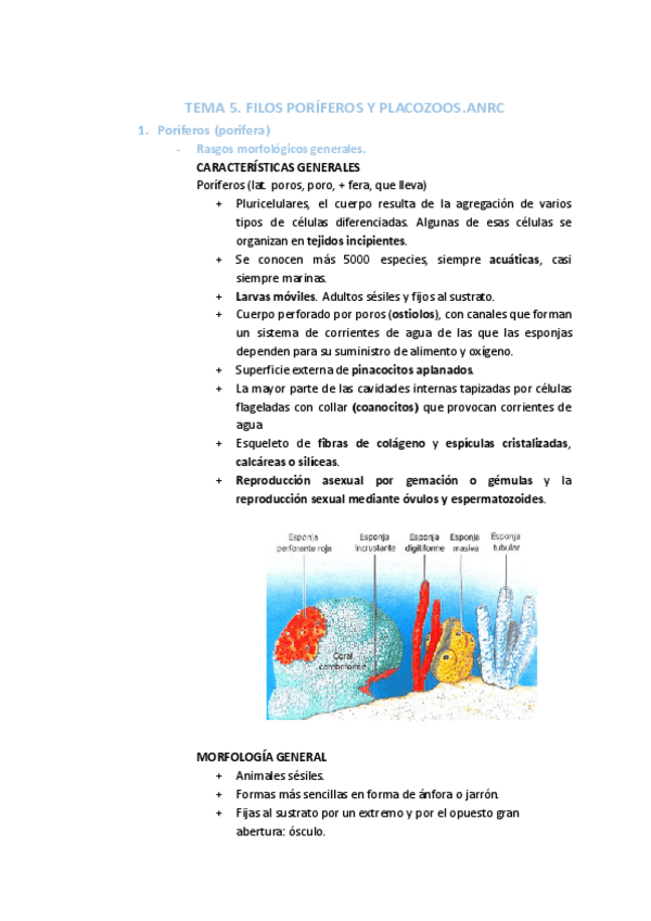 Miniatura del documento TEMAS-5-8.pdf