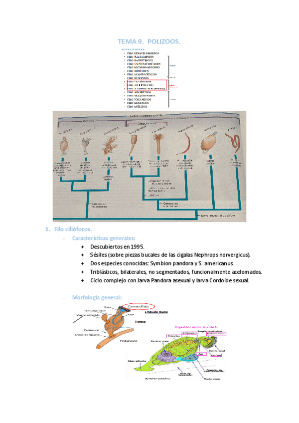 Miniatura del documento TEMAS-9-13.pdf