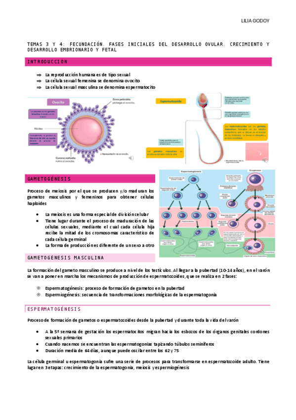 Miniatura del documento TEMA-3-Y-4.pdf