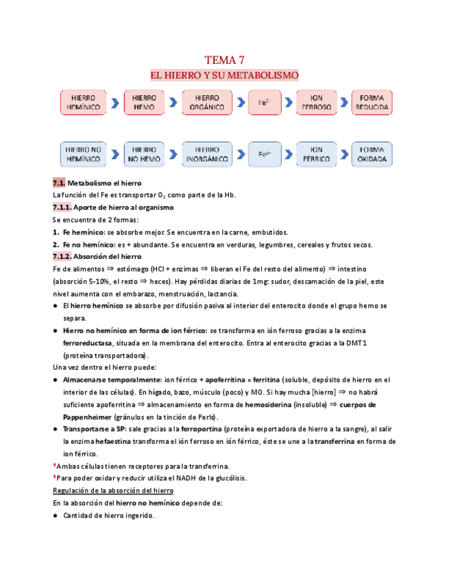 Miniatura del documento T.7-Hematologia.pdf