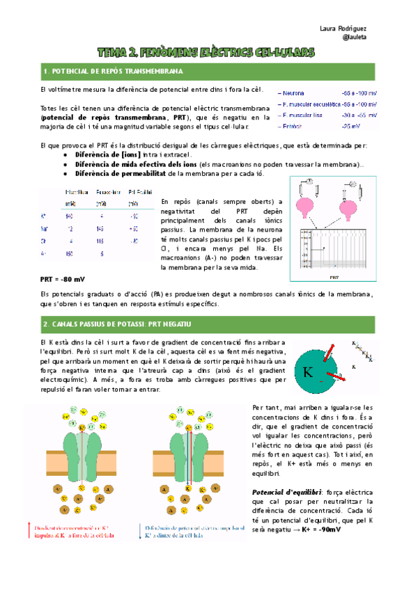 Miniatura del documento Apunts-tema-2-FCH-I.pdf