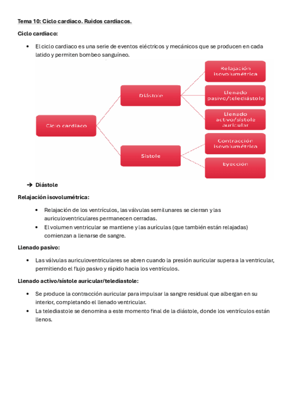 Miniatura del documento Tema-10-Ciclo-cardiaco-Ruidos-cardiacos.pdf