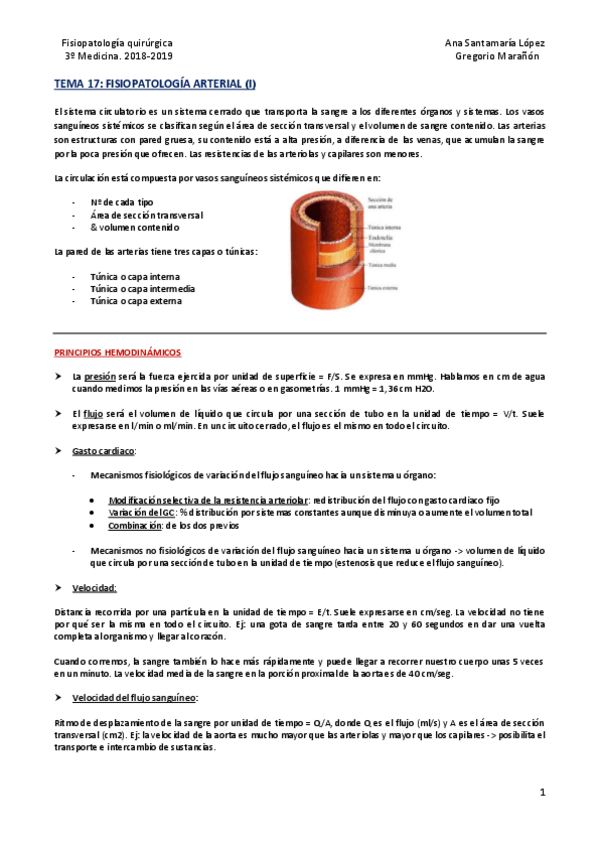 Miniatura del documento Tema 17 - Fisiopatología arterial (I).pdf