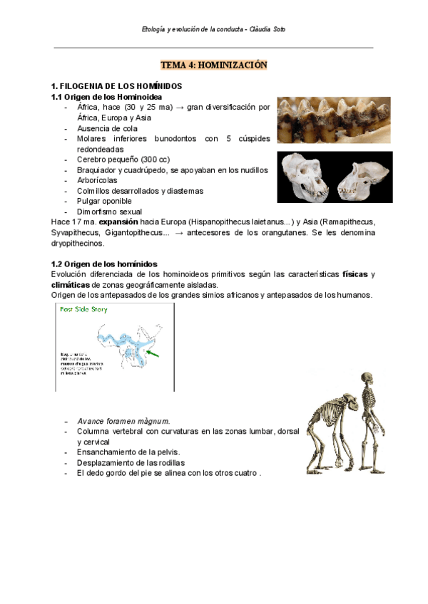 Miniatura del documento TEMA-4-HOMINIZACION-1.pdf
