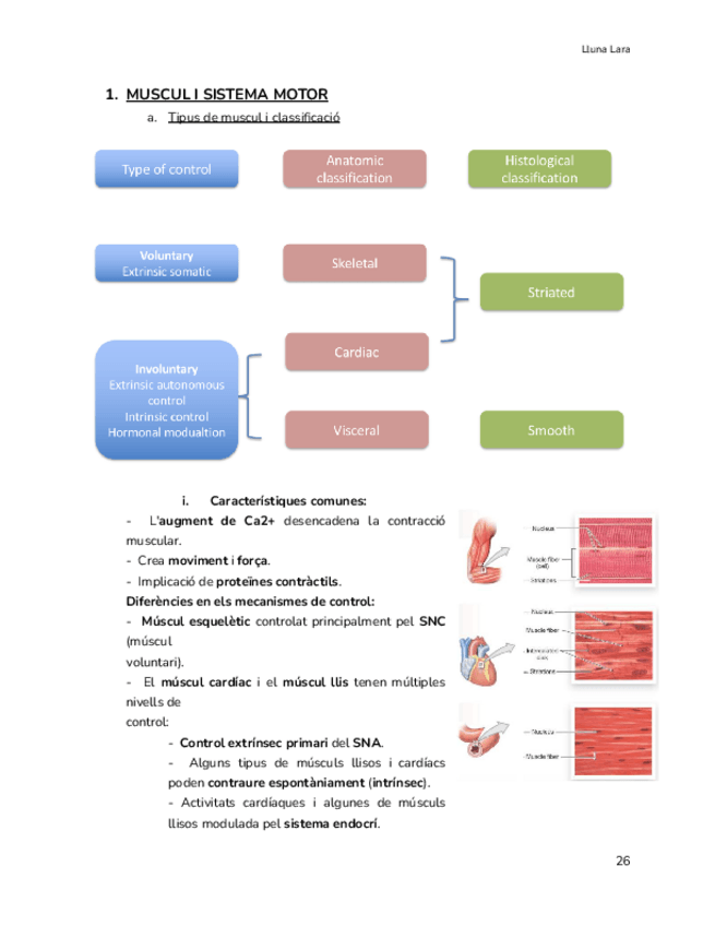 Miniatura del documento FISIOLOGIA-muscul-i-sistema-motor.pdf