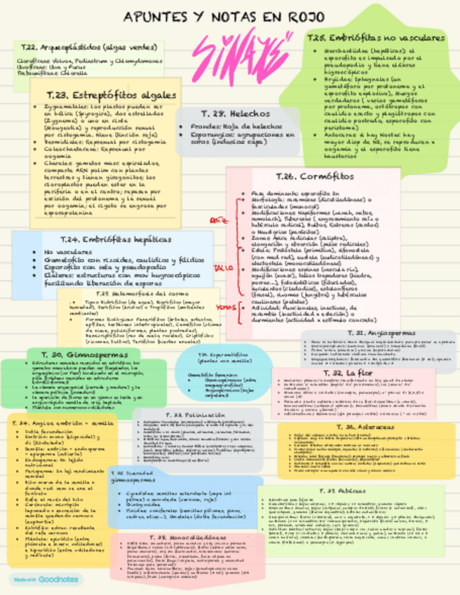 Miniatura del documento 2-cuatri-teoria-importante.pdf
