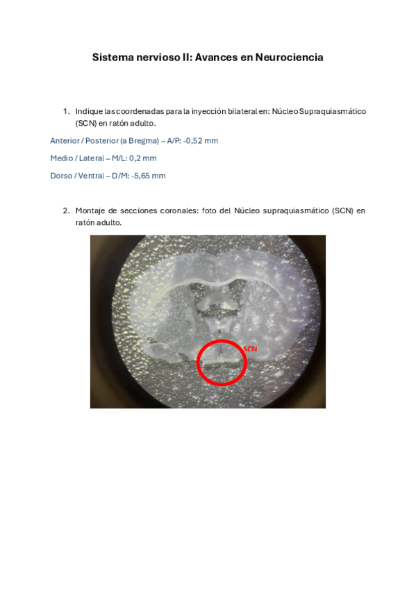 Miniatura del documento Memoria-Avances-en-Neurociencia.pdf