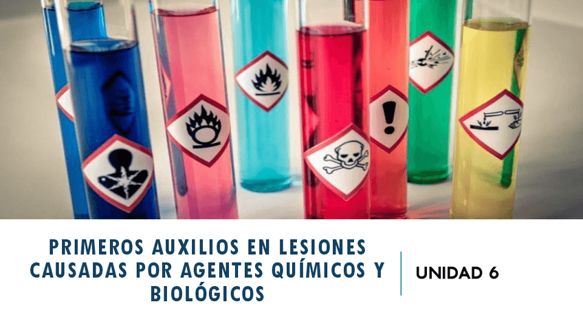 Miniatura del documento Altamar-primeros-auxilios-tema-6.pdf