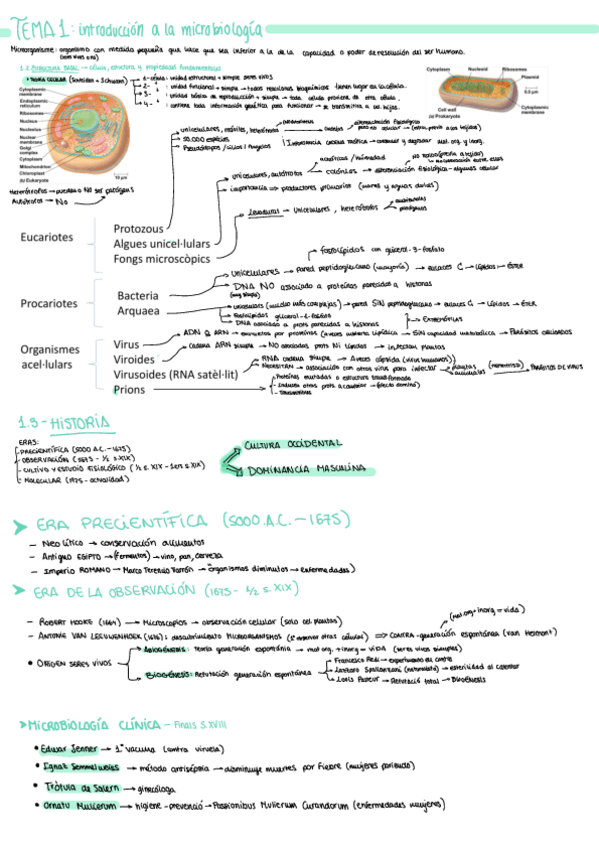 Miniatura del documento Micro-T1.pdf