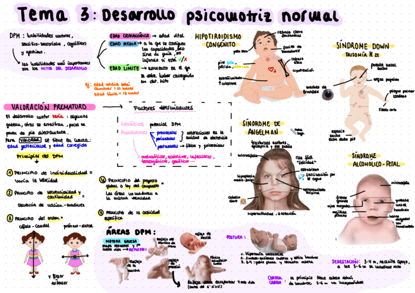 Miniatura del documento Esquema-tema-3.pdf