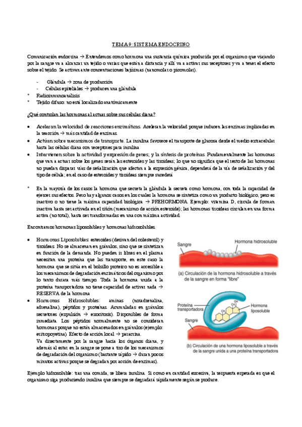 Miniatura del documento TEMA-9..pdf