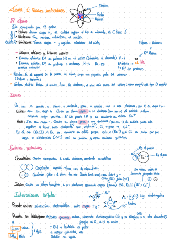 Miniatura del documento Temario-biquimica.pdf