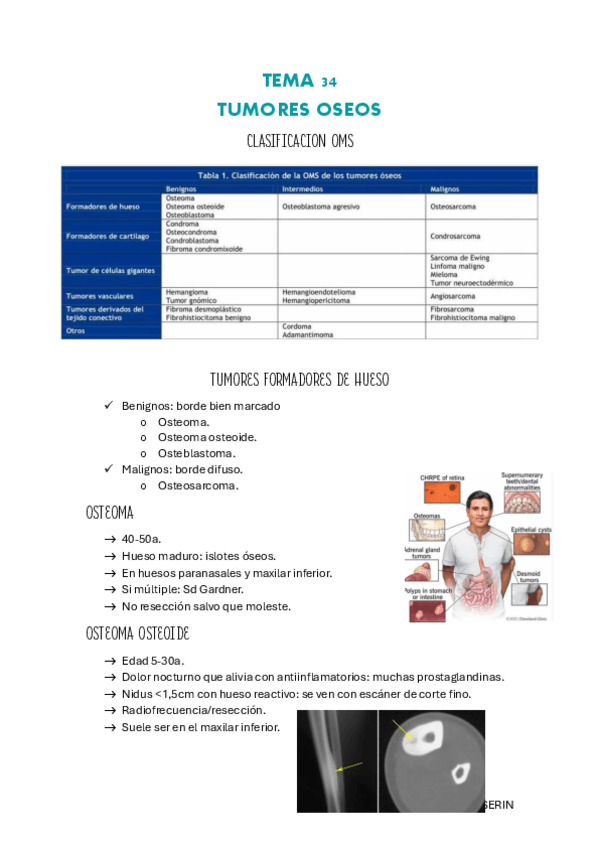 Miniatura del documento TEMA-34-pdf.pdf