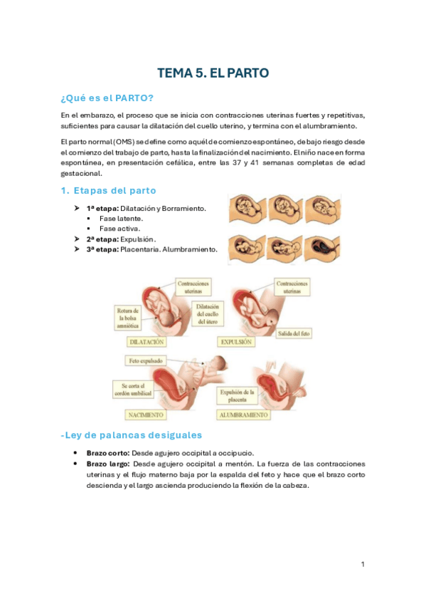 Miniatura del documento TEMA-5-mujer.pdf