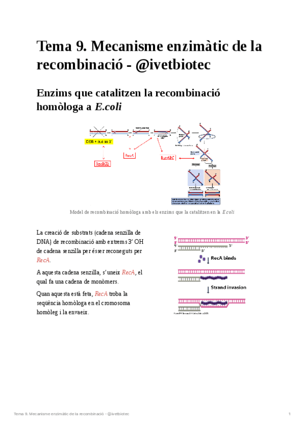 Miniatura del documento Tema-9Genetica-molecular.pdf