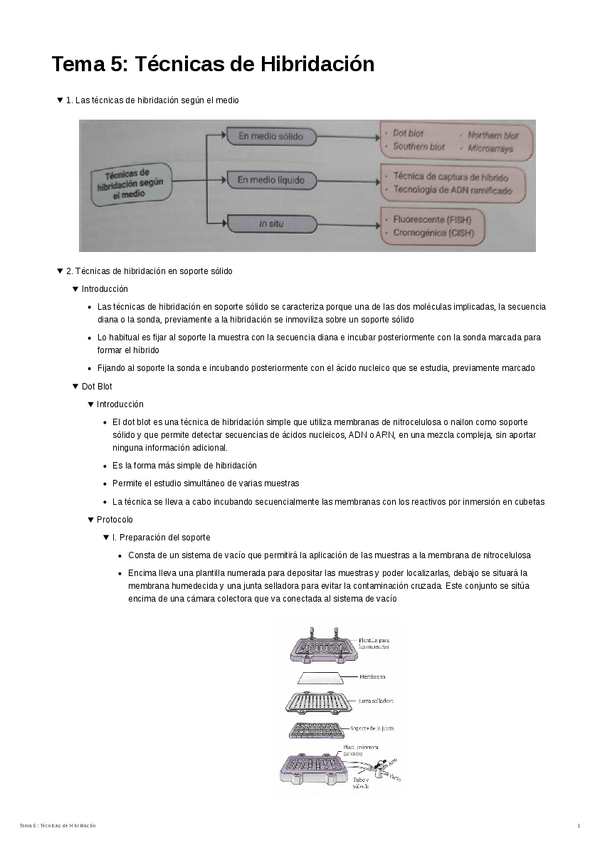 Miniatura del documento Tema-5.-Tecnicas-de-Hibridacion.pdf