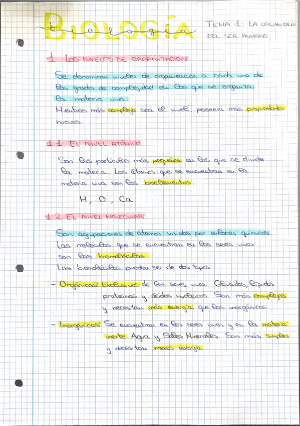 Miniatura del documento TEMA-1-LA-ORGANIZACION-DEL-SER-HUMANO-ANAYA.pdf